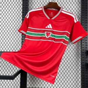 1ª Equipación Gales 2026/27