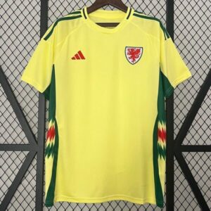 2ª Equipación Gales 2024/25